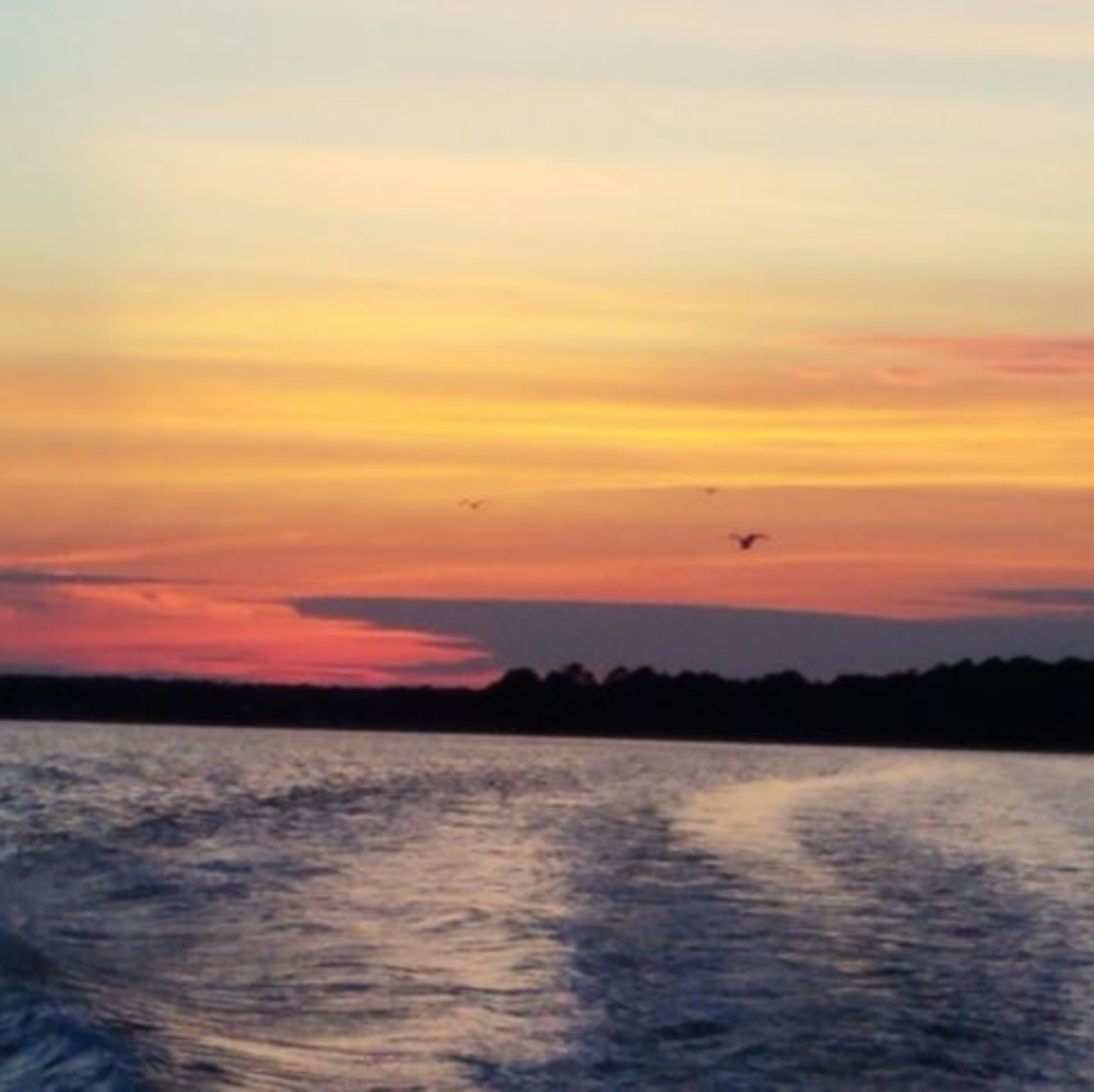 Meet your Posher, Chris